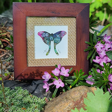 Load image into Gallery viewer, 'Daphne Arbuscula Luna Moth'-Sourdough Rum Coddiwomple 4"x4"