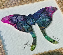 Load image into Gallery viewer, 'Daphne Arbuscula Luna Moth'-Sourdough Rum Coddiwomple 4"x4"