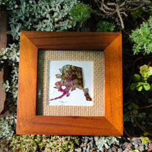 Load image into Gallery viewer, 'Spotted Ladyslipper Orchid' Alaska Coddiwomple 4"x4"