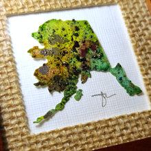 Load image into Gallery viewer, 'Saxifrage Viridi' Alaska Coddiwomple 4"x4"