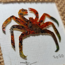 Load image into Gallery viewer, 'Pasque Flower King Crab' Sourdough Rum Coddiwomple 4"x4"