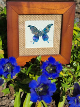 Load image into Gallery viewer, 'Indigo Gentian Butterfly' Sourdough Rum Coddiwomple 4"x4"