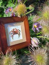 Load image into Gallery viewer, &#39;Pasque Flower King Crab&#39; Sourdough Rum Coddiwomple 4&quot;x4&quot;