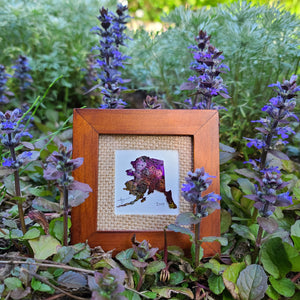 'Alaskan DarkOrchid Bugleweed' Sourdough Rum Coddiwomple 4"x4"